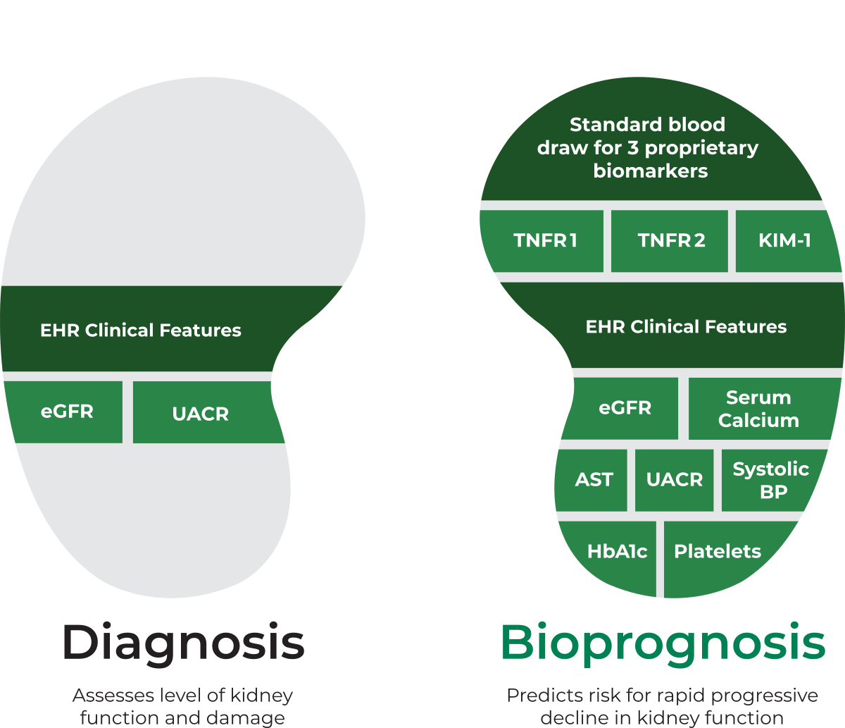 KidneyIntelX graphic